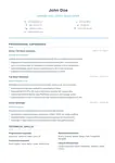 Formal Resume preview