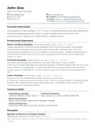 Professional Resume preview
